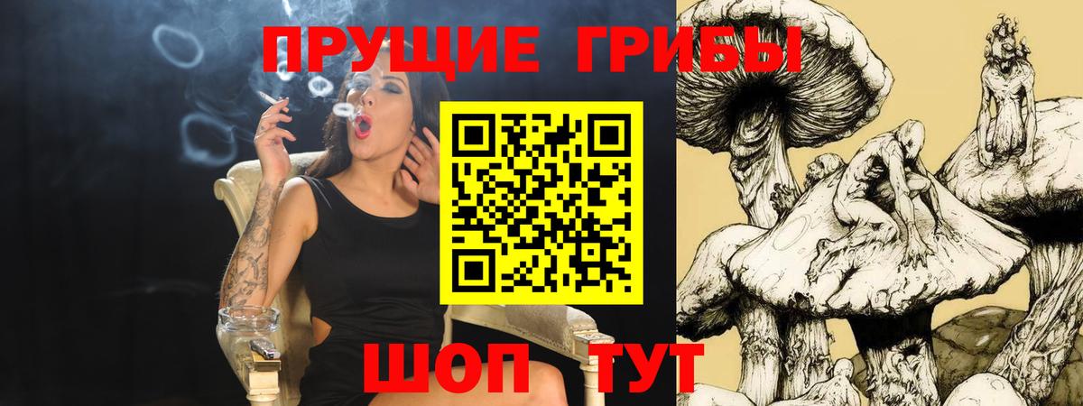Менделеевск  Псилоцибиновые грибы ЛСД  закладки  Вход с VPN 